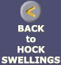 Back to HOCK SWELLINGS