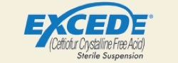 Excede Logo