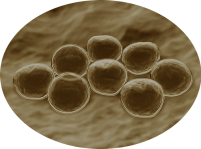 MRSA