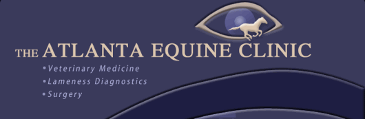 The Atlanta Equine Clinic