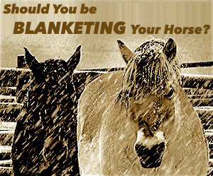 Blanketing Your Horse