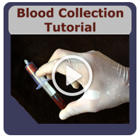 Blood Collection