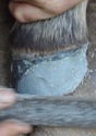 Rasp Adhesive