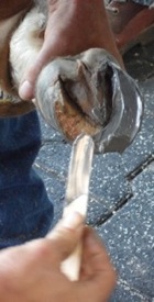 Smooth Adhesive