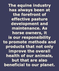 Horse Owner Responsibility
