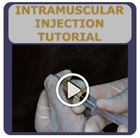 Watch Tutorial