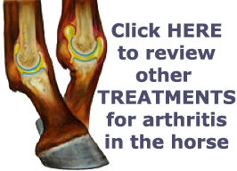 Click HERE to Review Joint Treatments