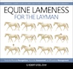Learn to See Lameness