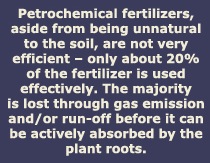 Soil Fertil Photo