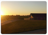 Rosehaven Farm